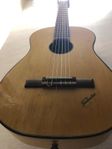 Vintage Gitarr