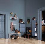 Montana Hide Shoe Cabinet