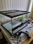 Exoterra terrarium