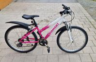 Diamant Princess 24 tum