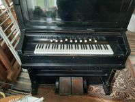 Orgel