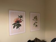 Två inramade posters