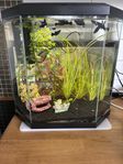 Aquarium Aqua Black 25 l