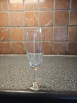 Champagneglas 50 stycken