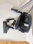 electrolux dammsugare