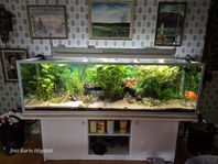 akvarium 720L