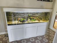 Komplett 720L akvarium