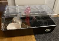 hamsterbur med tillbehör