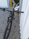 cannondale trail one 29 tum