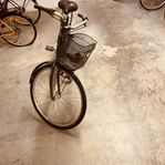 3-Växlad Damcykel