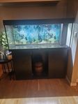 Akvarium juwel 240L med möbel