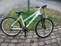 jättefin cykel