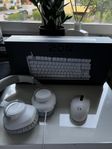 Gamingpaket, tangentbord, mus & JBL headset