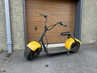 Fatbike