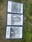 Posters inkl ram 