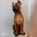 Prydnadshund