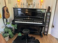 piano august hoffman