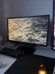 Zowie Benq 24.5” XL2540K 240hz