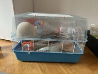 Hamsterset