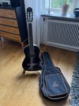 Akustisk gitarr med fodral och stativ 