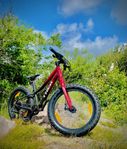 TREK Roscoe 20" 2023