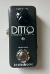 Ditto Looper
