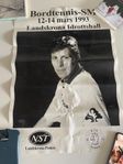 Waldner Pingis Bordtennis