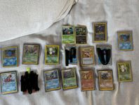 pokemon kort holos