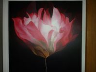 CANVAS TAVLA 80*80