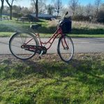 cykel 