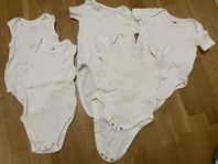 Set body 80
