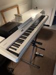 Roland FP-4 Digital Piano Vit