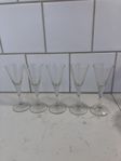 Snapsglas bortskänkes 