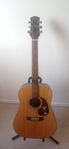 Epiphone PR 715