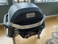 Weber Pulse 2000