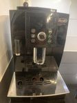 kaffemaskin 