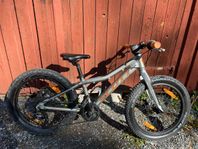 Scott Roxter 24 tum
