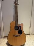 Gitarr Alvarez AD30CE + väska