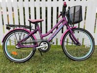 crescent saga 20”