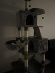 gosig katt