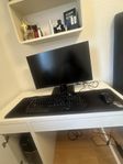Setup