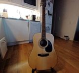Akustisk gitarr (Cort)