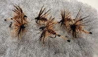 Kaktus – 6pack (storlek 14) – Torrflugan som sticker ut!