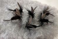 Black Gnat – 6pack strl 10 – Torrflugan för kräsna fis