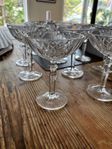 11 st coupeglas kristall  nachtmann nobless 