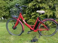 Ecoride Ambassador