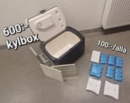 Kylbox för bilen, båten eller picknick, 40L