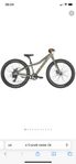 scott roxter 24"