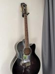 ibanez ael2012e tks 1204