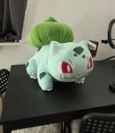 Pokemon Bulbasaur NY